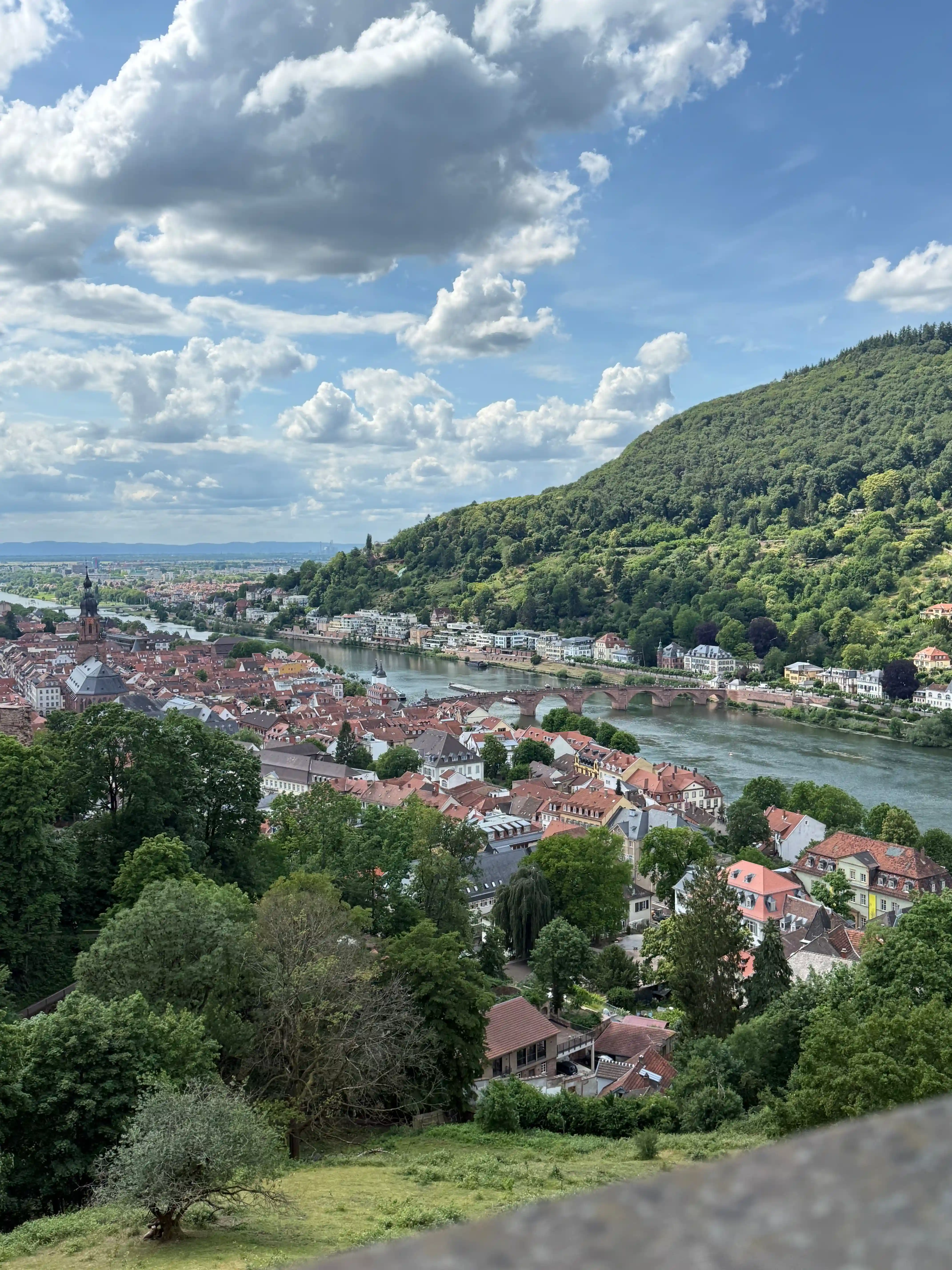 Heidelberg, Alte Brücke und Schloss